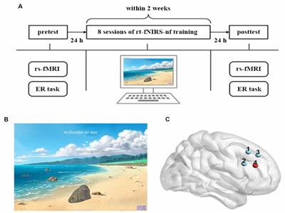 Improving Emotion Regulation Through Real-Time Neurofeedback Training on the Right Dorsolateral Prefrontal Cortex: Evidence From Behavioral and Brain Network Analyses